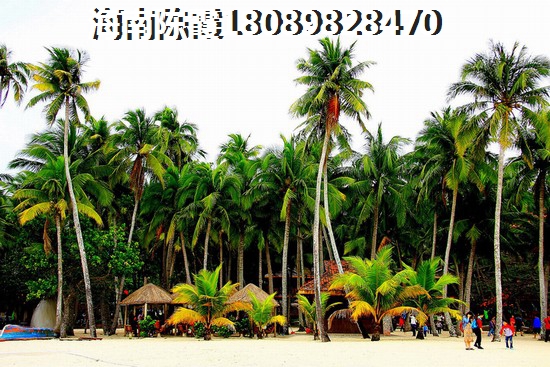 香巴秘境 一居  户型图